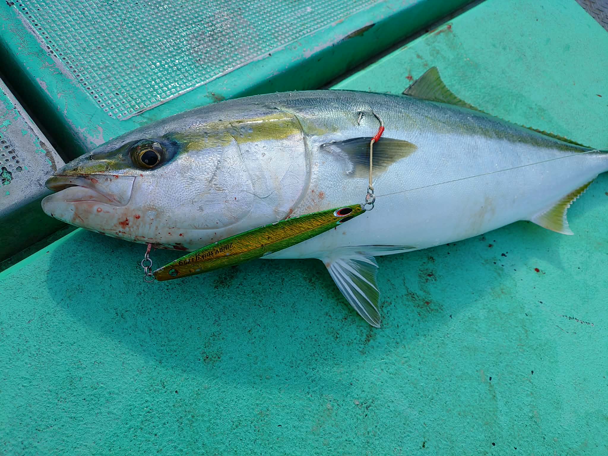 貞盛さん、東京湾サワラゲームで本命キャッチ！厳しい状況を攻略